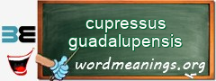 WordMeaning blackboard for cupressus guadalupensis